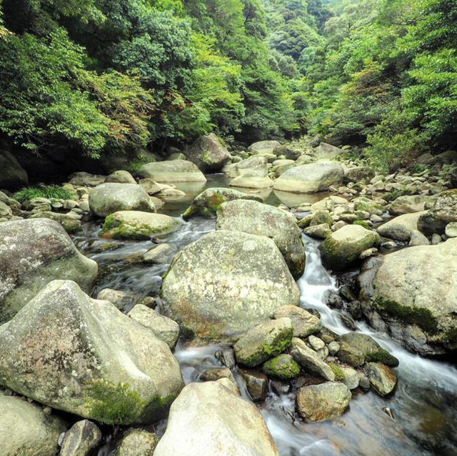 筑紫耶馬溪，擁有清澈的溪流和獨特的紅葉美景