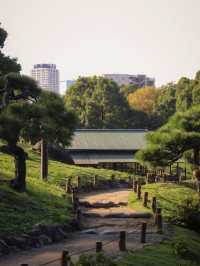 景點推薦：清澄庭園——都市中的靜謐湖景