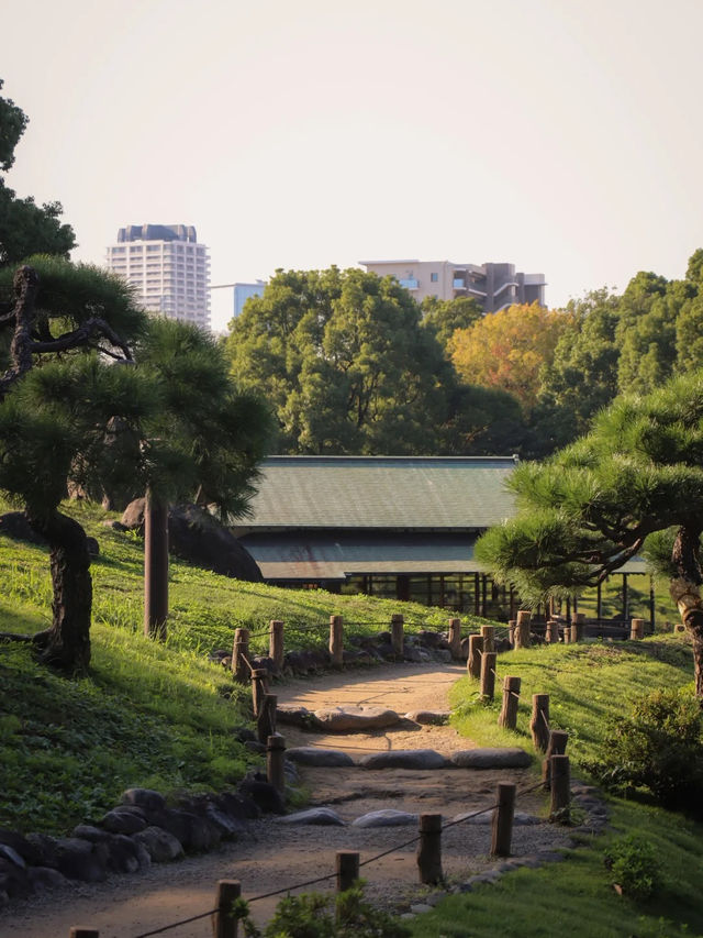 景點推薦：清澄庭園——都市中的靜謐湖景