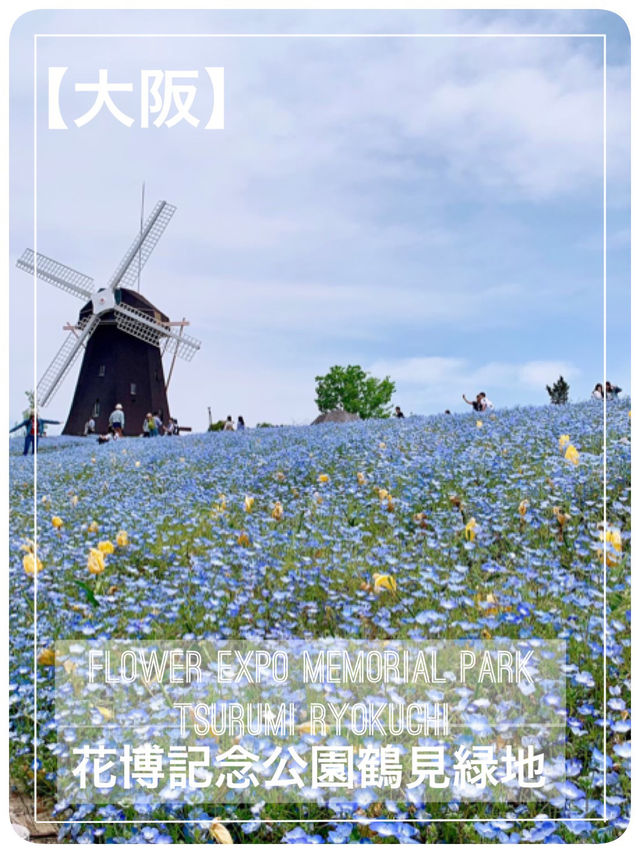 【大阪】花博記念公園鶴見緑地で季節を愛でる♡ 