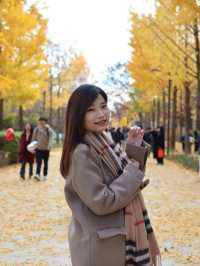 🍂首爾市內最美銀杏公園