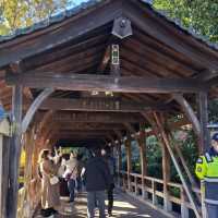 【東福寺:京都市東山区】1236 年創建の仏教寺院で紅葉の名所🍁