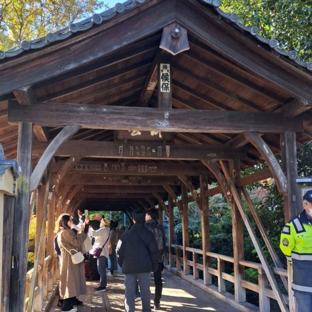 【東福寺:京都市東山区】1236 年創建の仏教寺院で紅葉の名所🍁