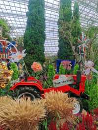 An awesome visit to garden by the bay 💐