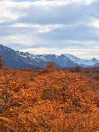 วิวระหว่างทาง Patagonia 
