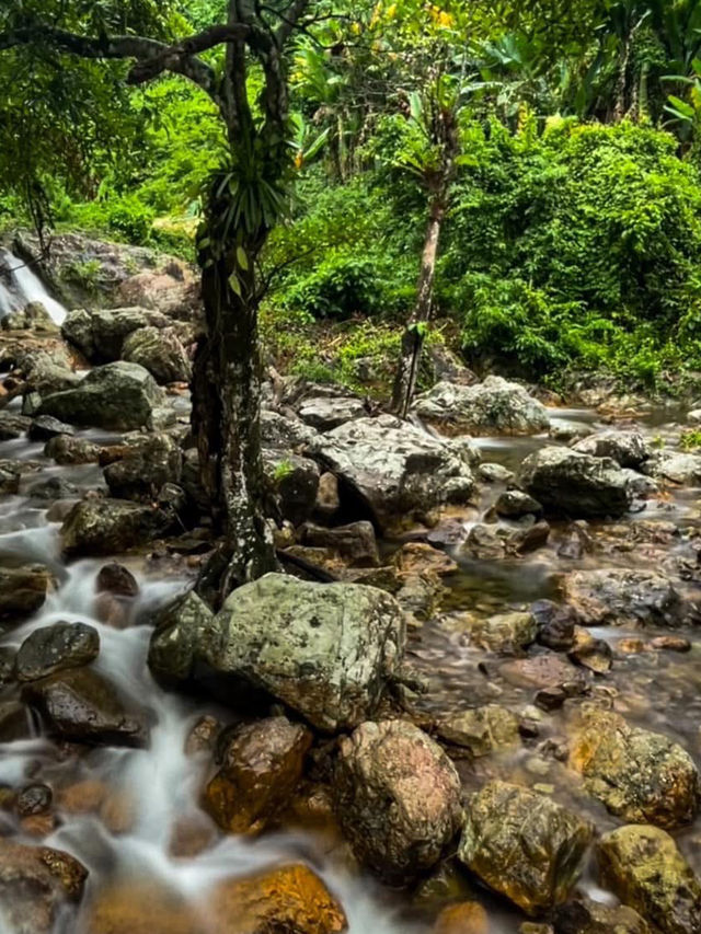 น้ำตกสาริกา ออกไปใช้ชีวิตในหน้าฝน 🍃⛰