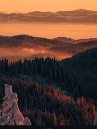 Falling in Love with the Black Forest in Winter 