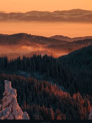 Falling in Love with the Black Forest in Winter 