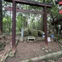 ⛰️【摩耶山】　神戸