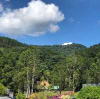 Tranquil Escape to Gaharu Tea Valley in Gopeng
