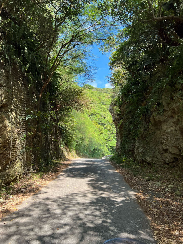 【沖縄🇯🇵】鮮やかな青い海を眺めて💙