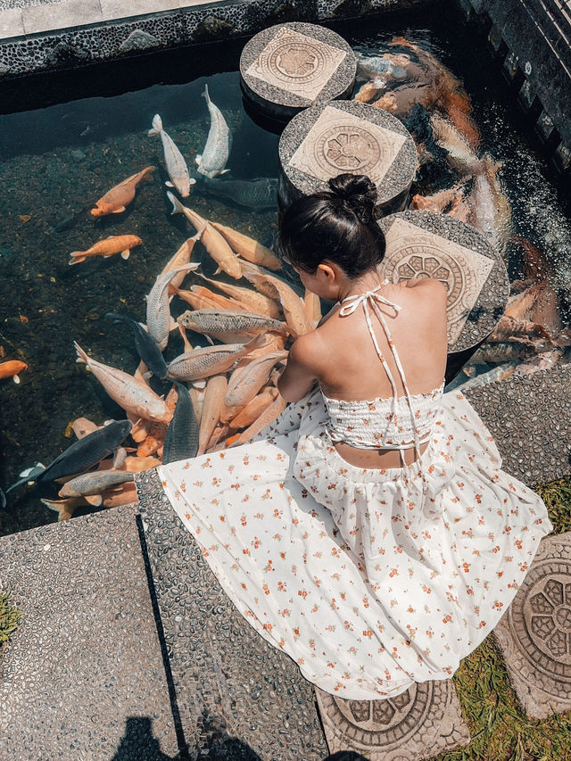 峇里島🌟水上宮殿✨Tirta Gangga 同巨型鯉魚合照🐟
