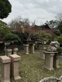 Must see garden in Suzhou 🍁
