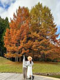 【奈良】自然とアートが融合した公園
