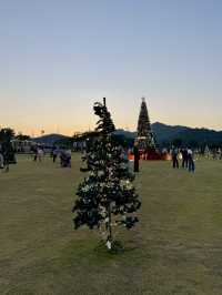 เดินเล่น Midwinter ถ่ายต้นคริสต์มาสสวยๆ 🎄