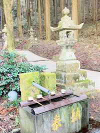 熊本観光☺️神秘的で荘厳な上色見熊野座神社⛩️✨