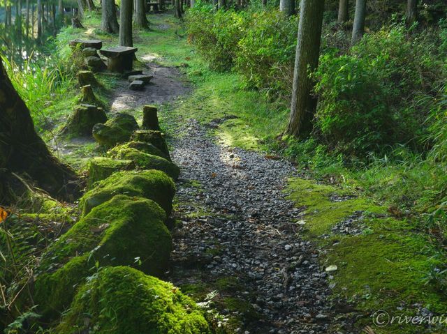 【奈良県】龍が眠る池「龍王ヶ淵」