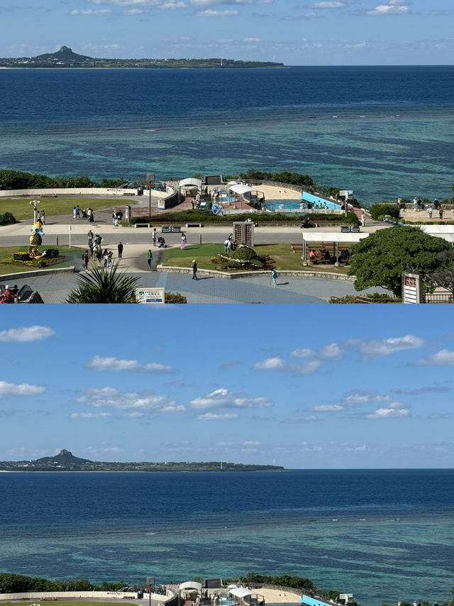 🇯🇵沖繩旅遊·蠟筆小新也來過的美麗海水族館