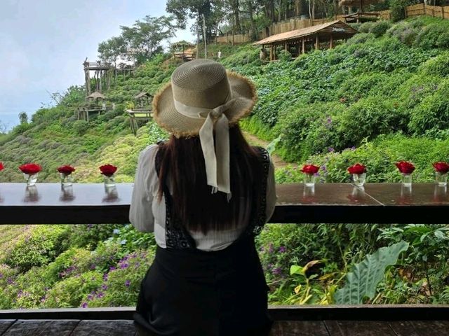 ยอดดอยม่อนแจ่ม Coffee