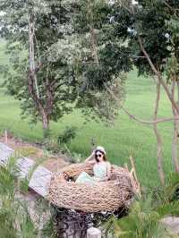 U&ME Cafe คาเฟ่รังนกสุดเก๋กาญจนบุรี