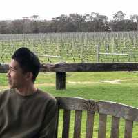 Margaret River Wine Tour: A Journey Through Australia’s Best Vineyards