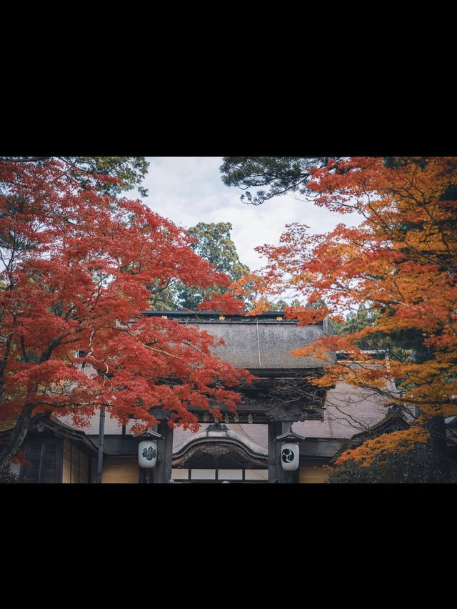 【高野山・金剛峯寺】紅葉の高野山おすすめスポット