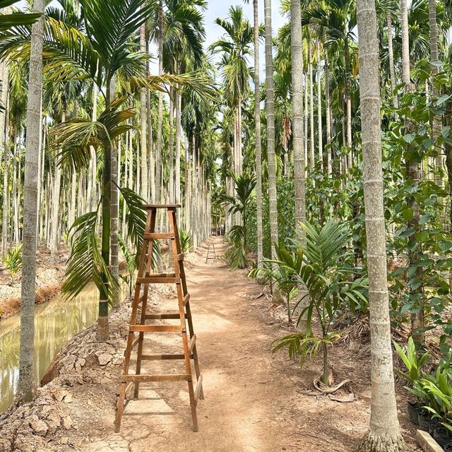 🌳 ฌาณหมาก Coffee & Farm
