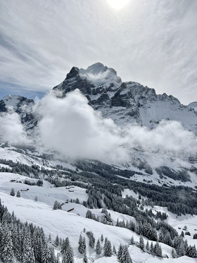Grindelwald - First Cliff Walk แบบหิมะฉ่ำๆ