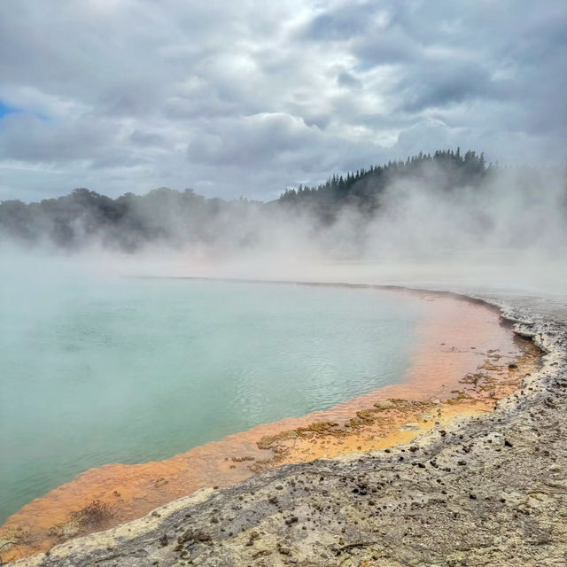 Stepping into Another World: My Visit to Rotorua’s Volcanic Wonderland!