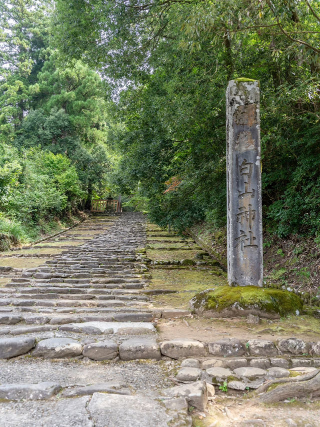 【福井県/勝山市】苔寺と呼ばれ、1300年以上歴史あるテラス