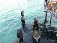 A Diver’s Haven with Fresh Seafood Delights, Mabul