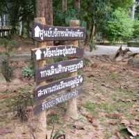 สะพานเรือนยอดไม้ จ.ตรัง