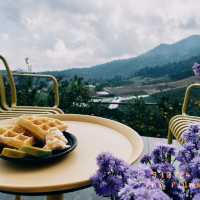 เก็บส้มที่สวนบ้านฉันกันเถอะ