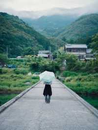 新緑が輝く四万十川🌿日本最後の清流を感じる旅