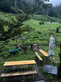 คาเฟ่ mandi ปูซาน
