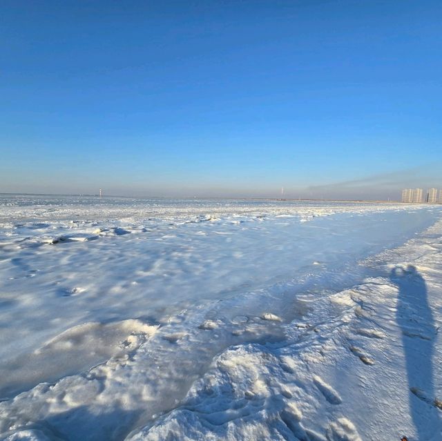 Frozen Sea 