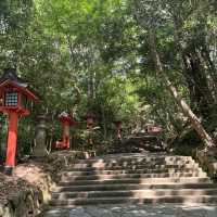 【宇佐】 全国八幡宮の総本宮！