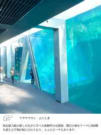 【 福島 いわき 】海中を散歩するかのような水族館🐠💕