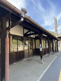 【長野】レトロな駅舎🚉沿線に梅が咲き誇る駅