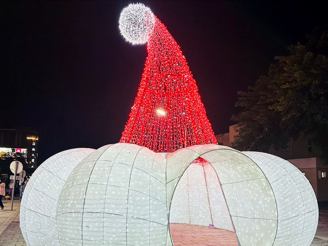 台東～鐵花燈之祭😍