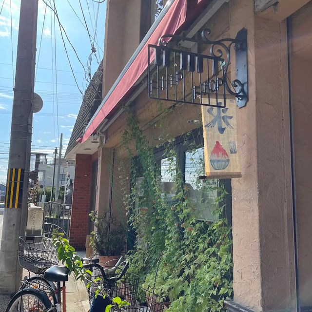 【日本・京都🇯🇵】フリップ フロップ
