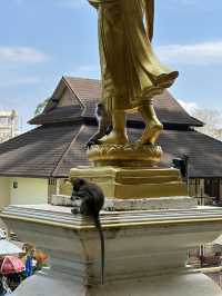 WAT THAM SUEA - Krabi, Thailand