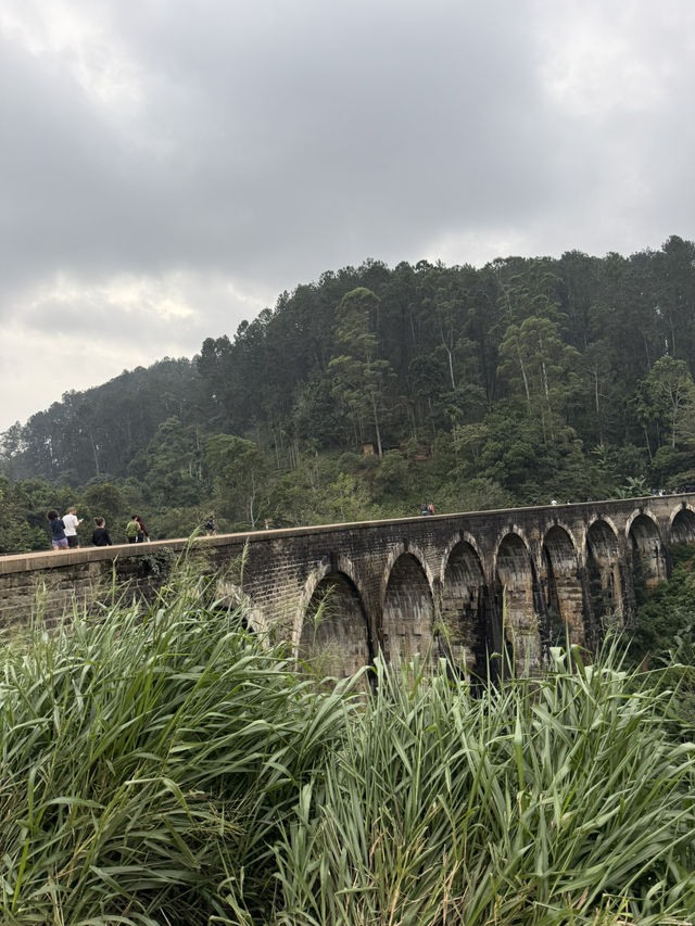 Where Serendipity Meets Splendour 