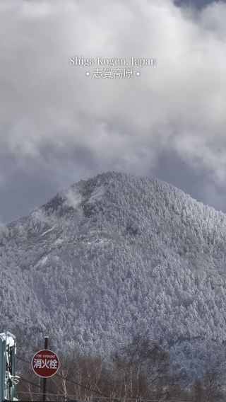 Shiga Kogen Ski Day: A First-Timer’s Snow Adventure in Japan