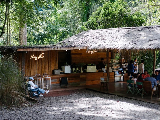 🌿 หลงเขา คาเฟ่สุดฮิตที่ไม่ควรพลาดเมื่อมาน่าน