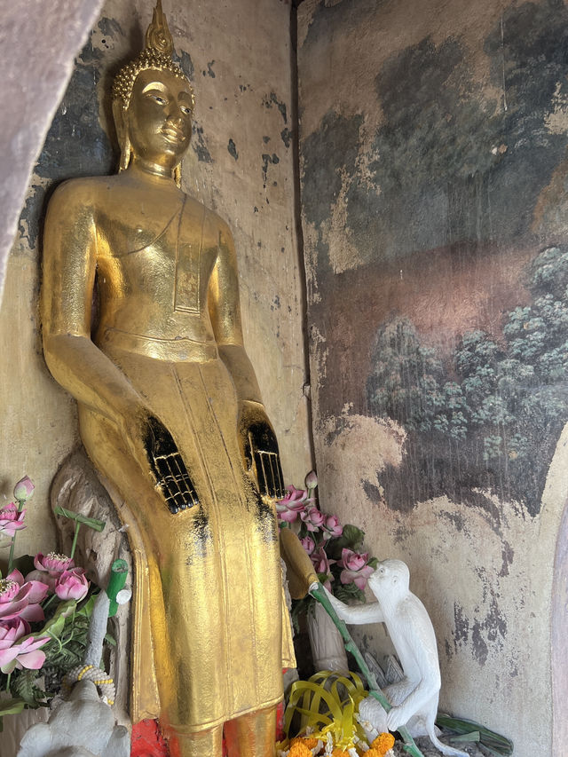 📍พาไปมู วัดปัง ปี2568 ที่อยุธยา 🙏🏻