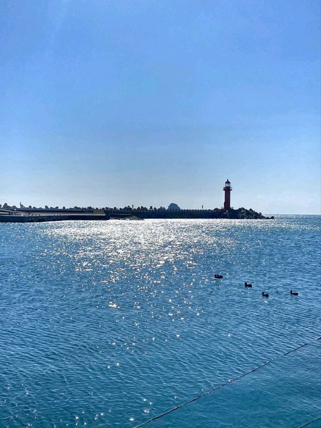 푸른 바다와 거친 절벽이 만든 감동! 🌊 사계해안에서 힐링 여행 ✨