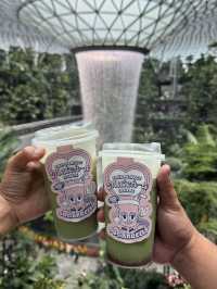 MATCHA ON TAP IN JEWEL, CHANGI SINGAPORE