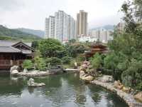 A Peaceful Pause: Hong Kong’s Best Kept Secrets—Chi Lin Nunnery and Nan Lian Garden