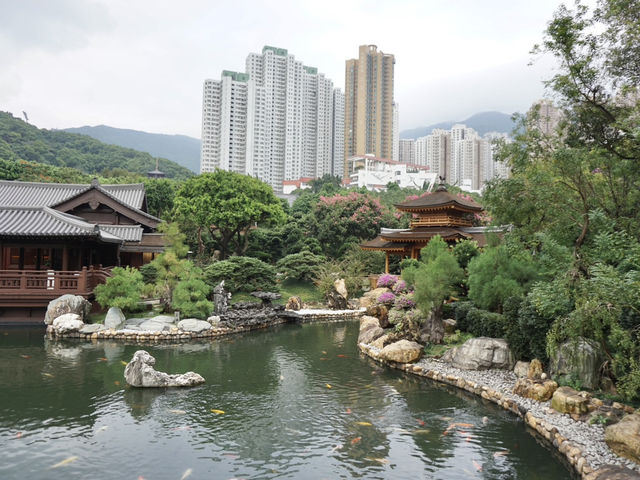 A Peaceful Pause: Hong Kong’s Best Kept Secrets—Chi Lin Nunnery and Nan Lian Garden